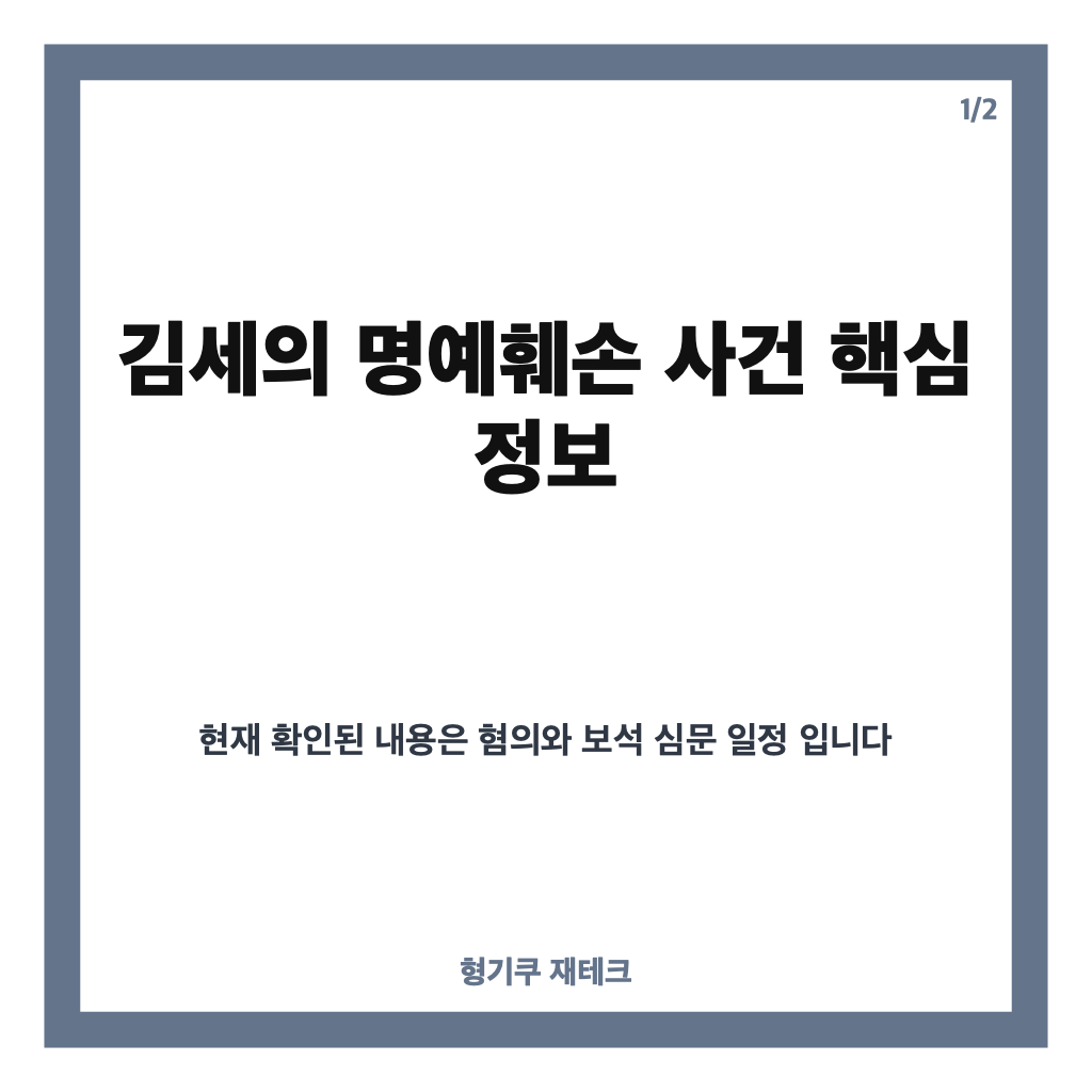 김세의 명예훼손 혐의, 보석 청구와 심문 일정 정리 카드뉴스 1