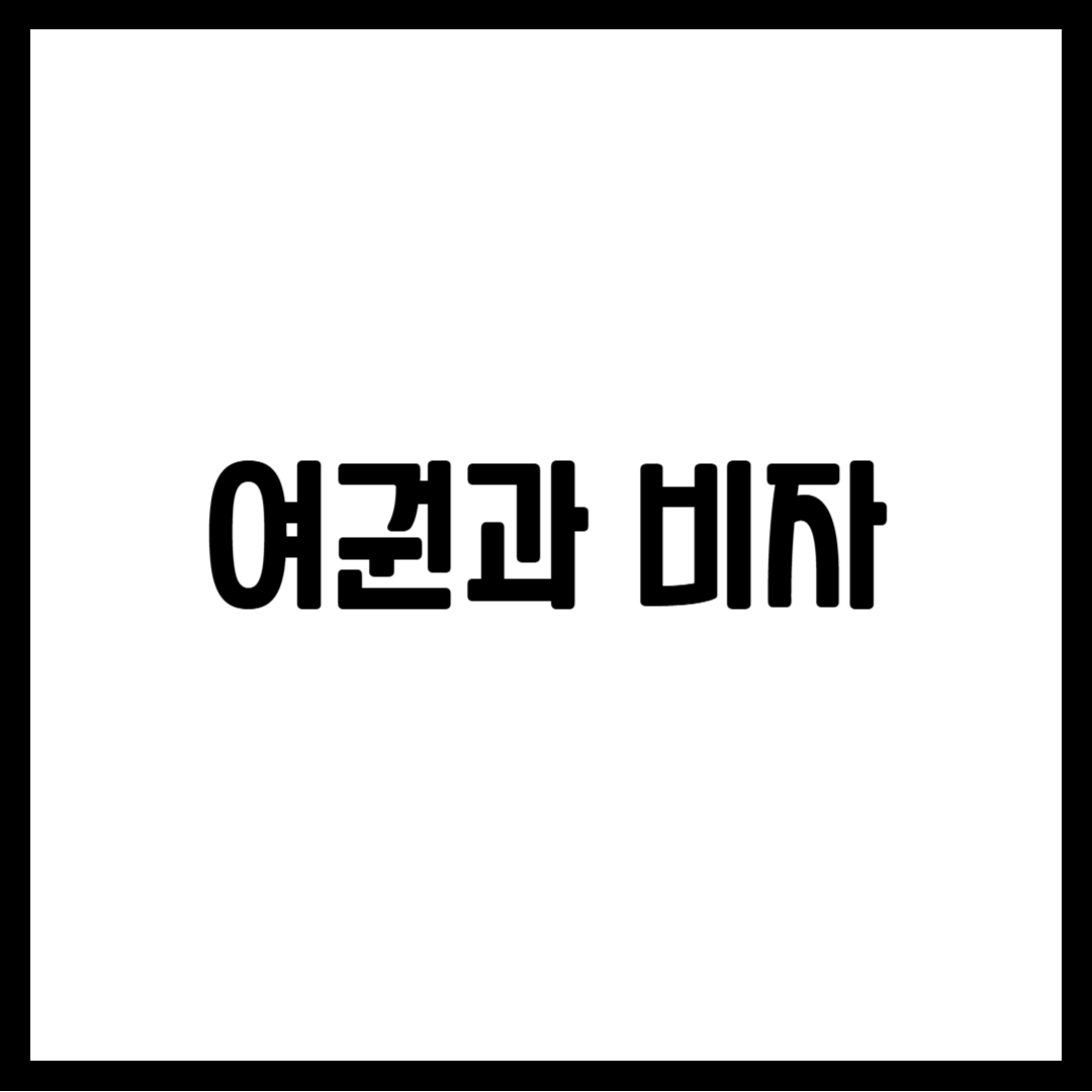 여권과 비자