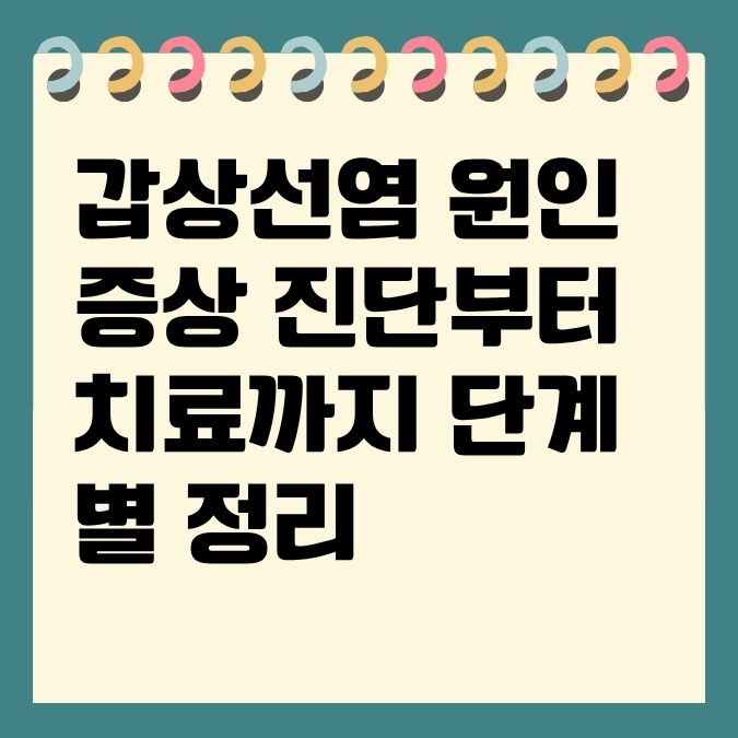 갑상선염 원인 증상 진단부터 치료까지 단계별 정리