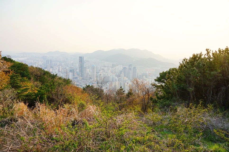 벚꽃명소