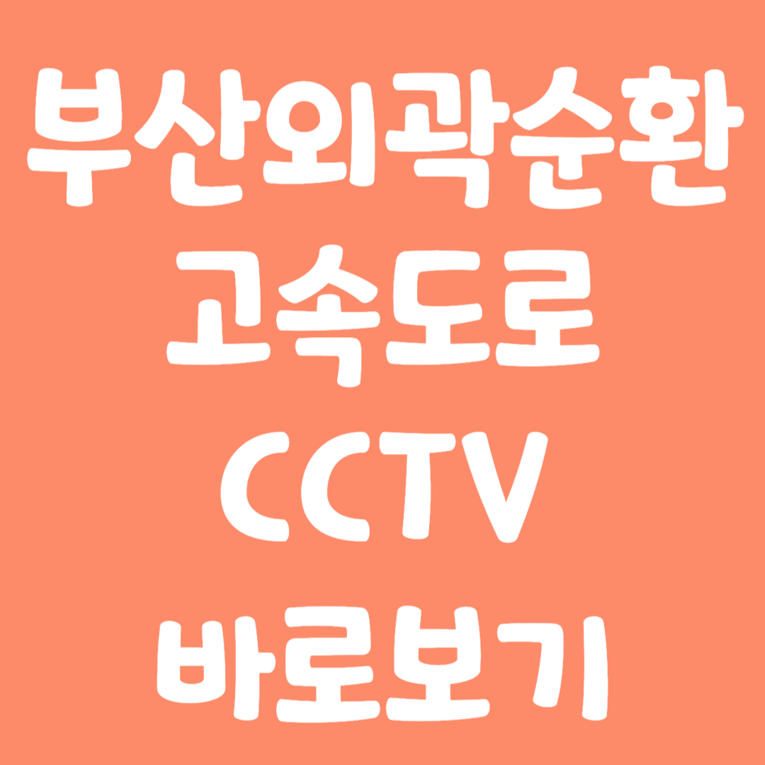 실시간 부산외곽순환 고속도로 CCTV 바로가기