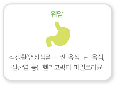 기스트(GIST&amp;#44; 위장관 기질 종양) 증상1