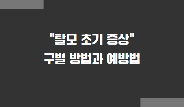 탈모 초기 증상 및 예방법