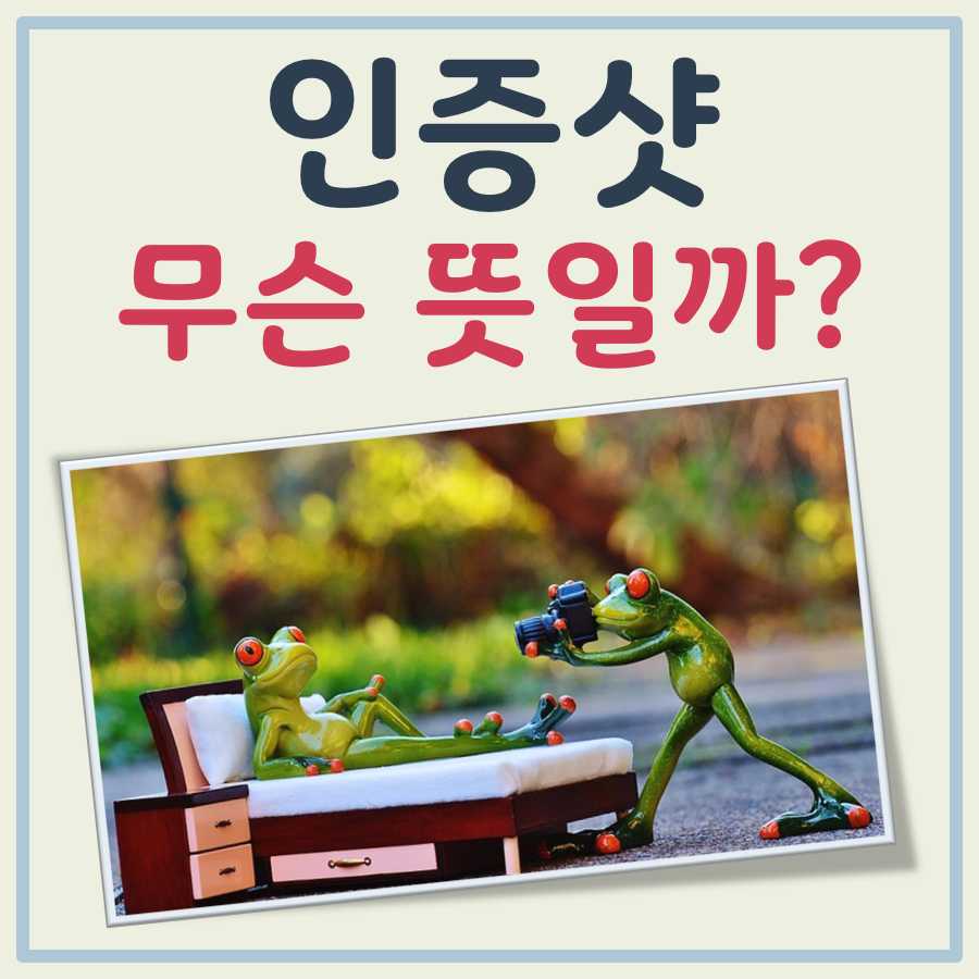 인증샷 뜻 대표 이미지