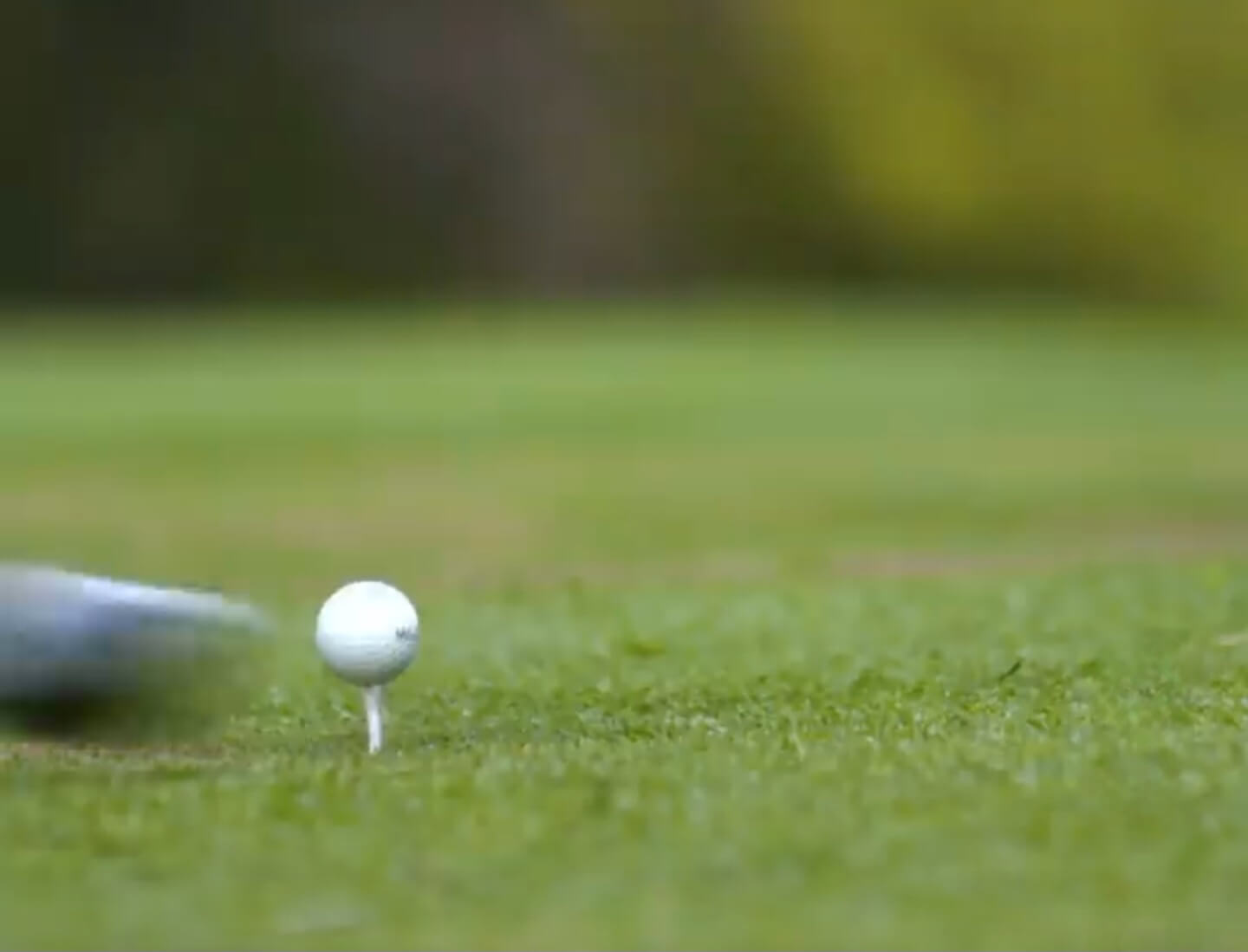 여름밤 생중계! 2025 에비앙 챔피언십, 한국선수 20여명 총출동