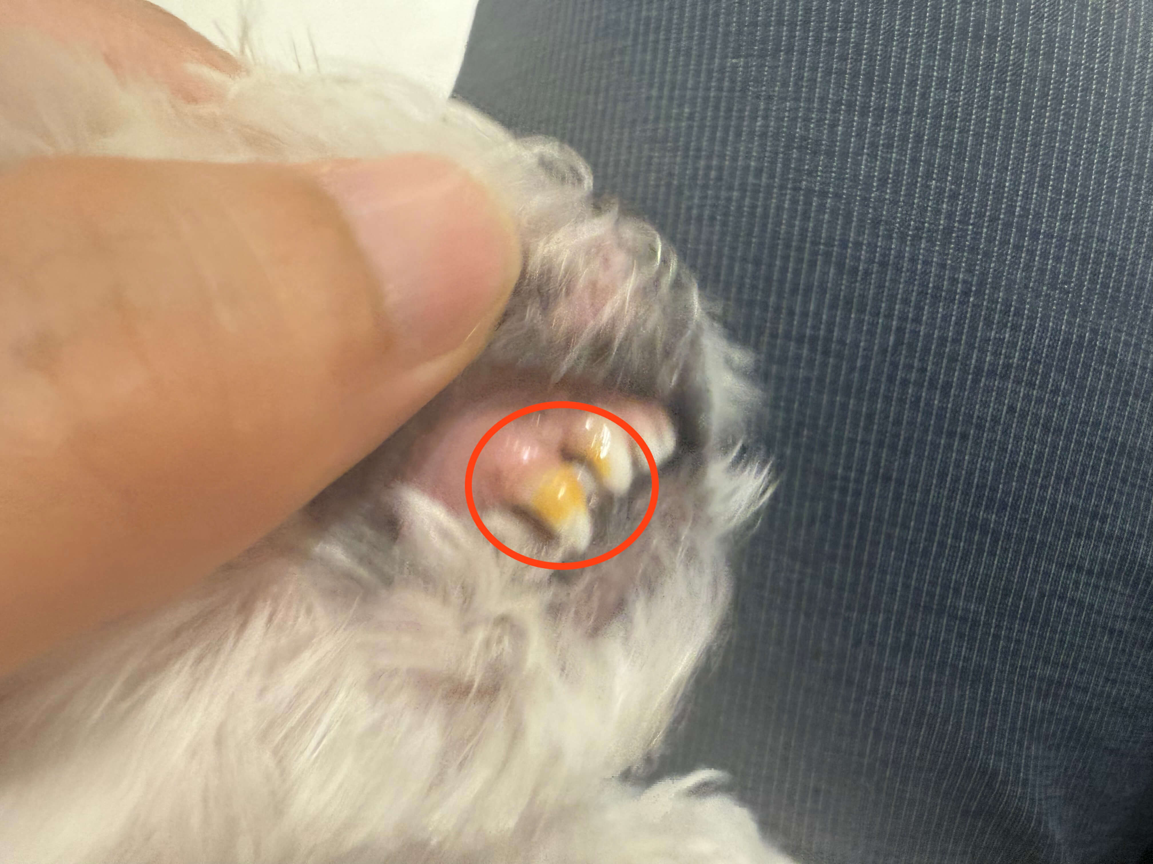 2년뒤 이제 해줘야 할때