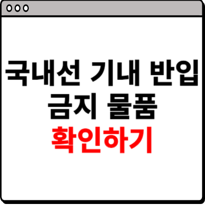 국내선 기내 반입 금지 물품 확인하기