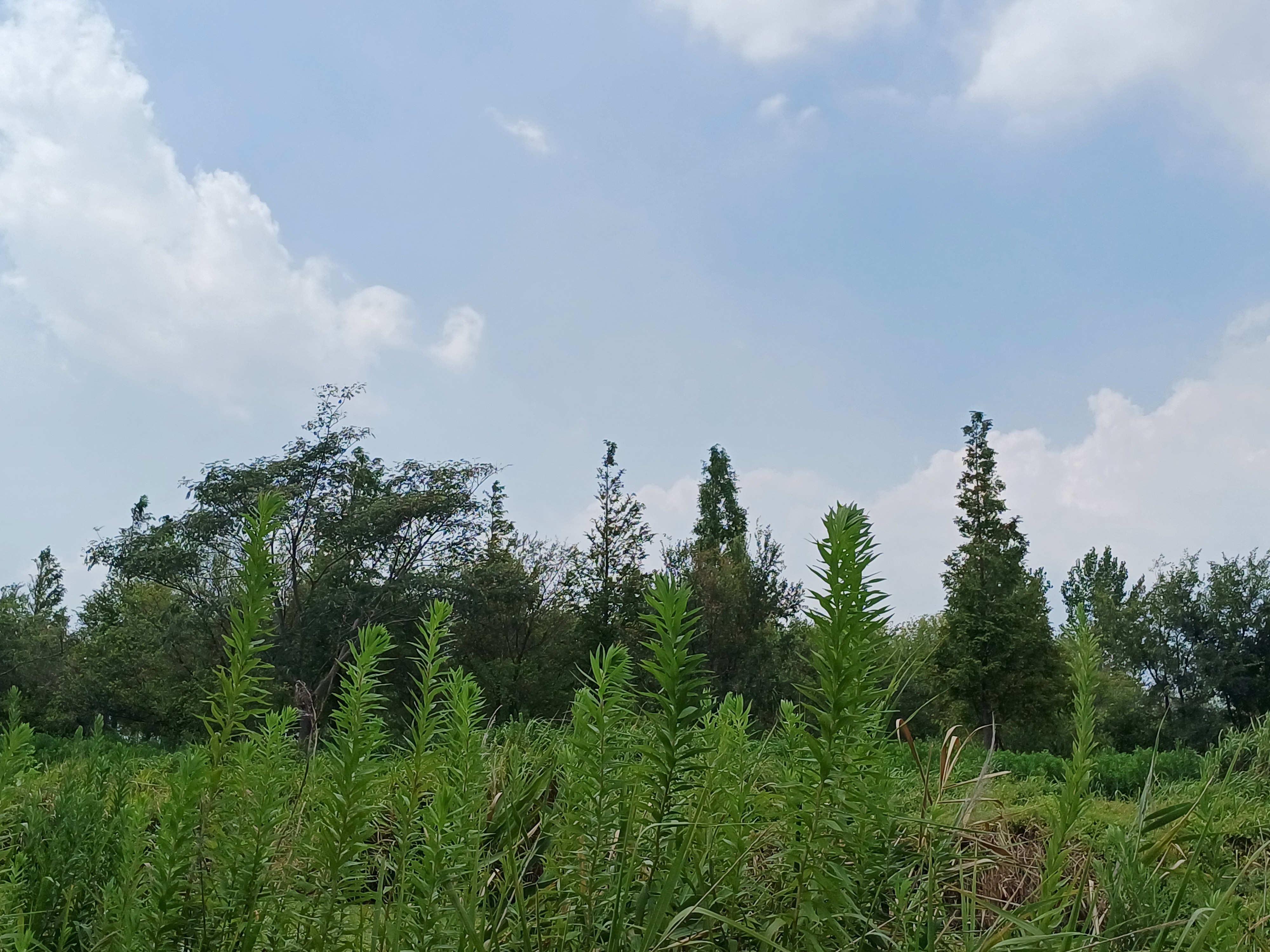 Beautiful Nature 3