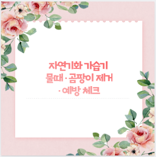 자연기화 가습기 물때&middot;곰팡이 제거&middot;예방 체크