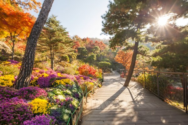 화담숲 예약 방법과 방문 팁 총정리