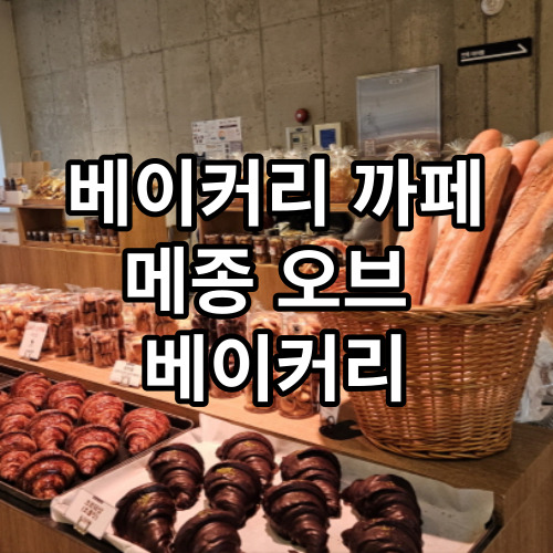 시지 맛집 메종 오브 베이커리