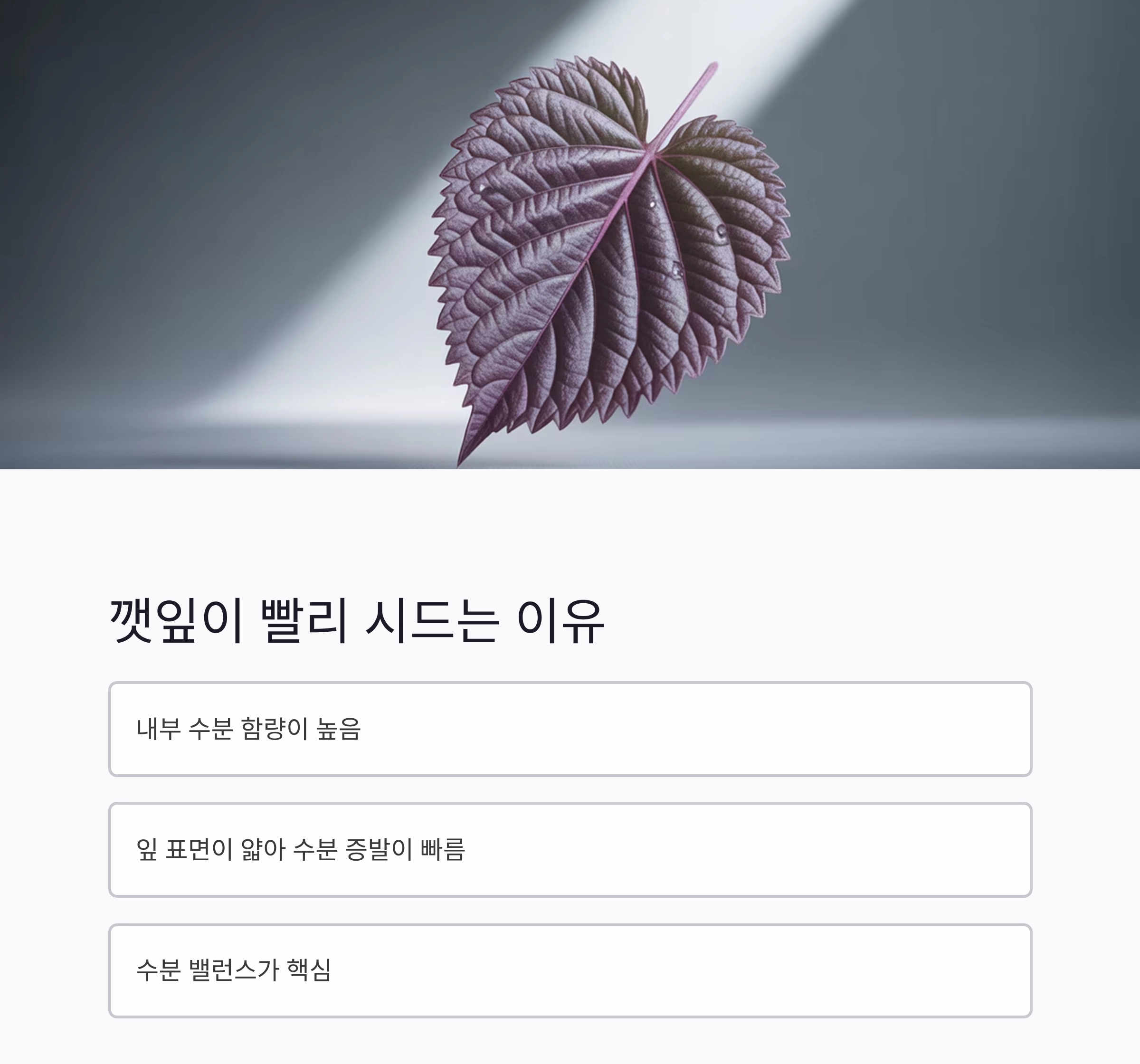 깻잎을 더 오래 신선하게! 수분 조절 보관법 꿀팁