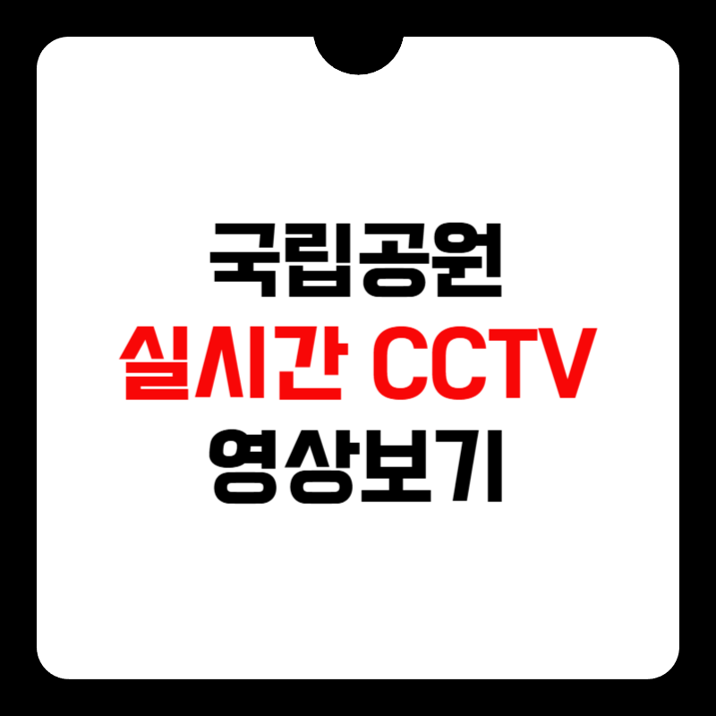 국립공원-실시간CCTV-영상보기-썸네일