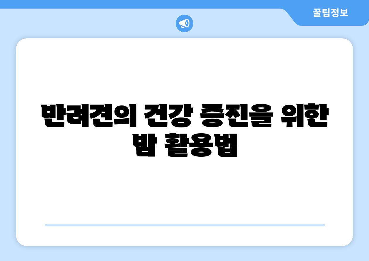 반려견의 건강 증진을 위한 밤 활용법