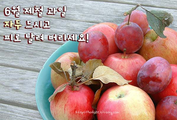 자두를먹어요