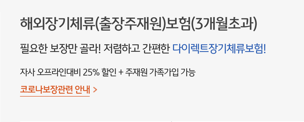 해외장기체류(출장주재원)보험(3개월초과)