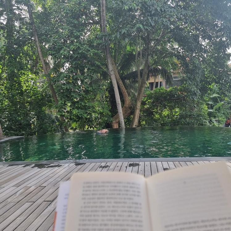 코마네카 앳 라사 사양 우부드 호텔의 수영장.