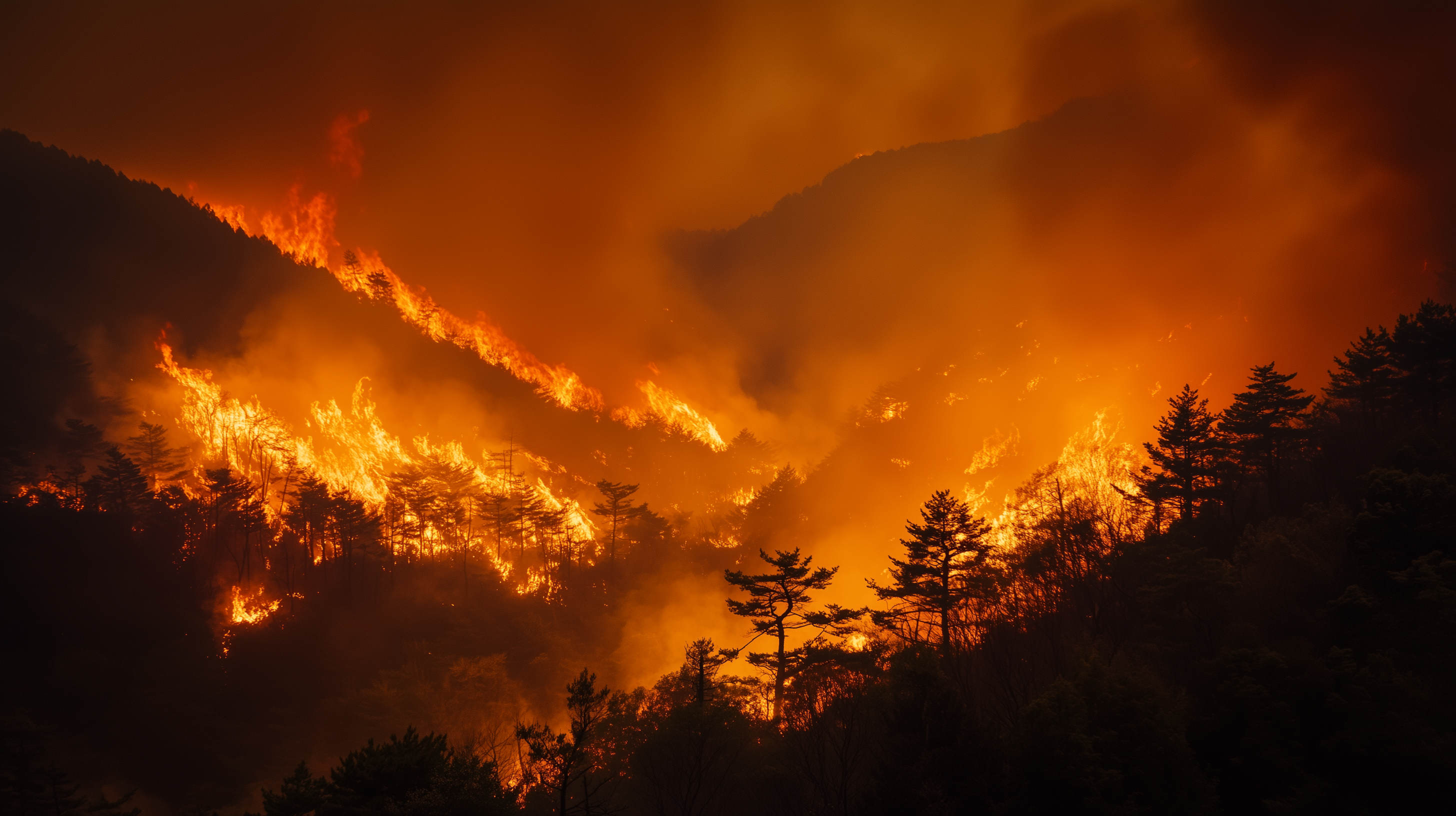 한국에서 발생한 연쇄 산불