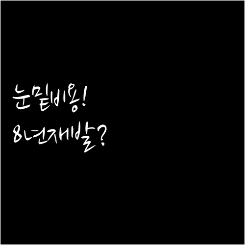 눈밑지방 재배치 수술 비용 및 8년 ..