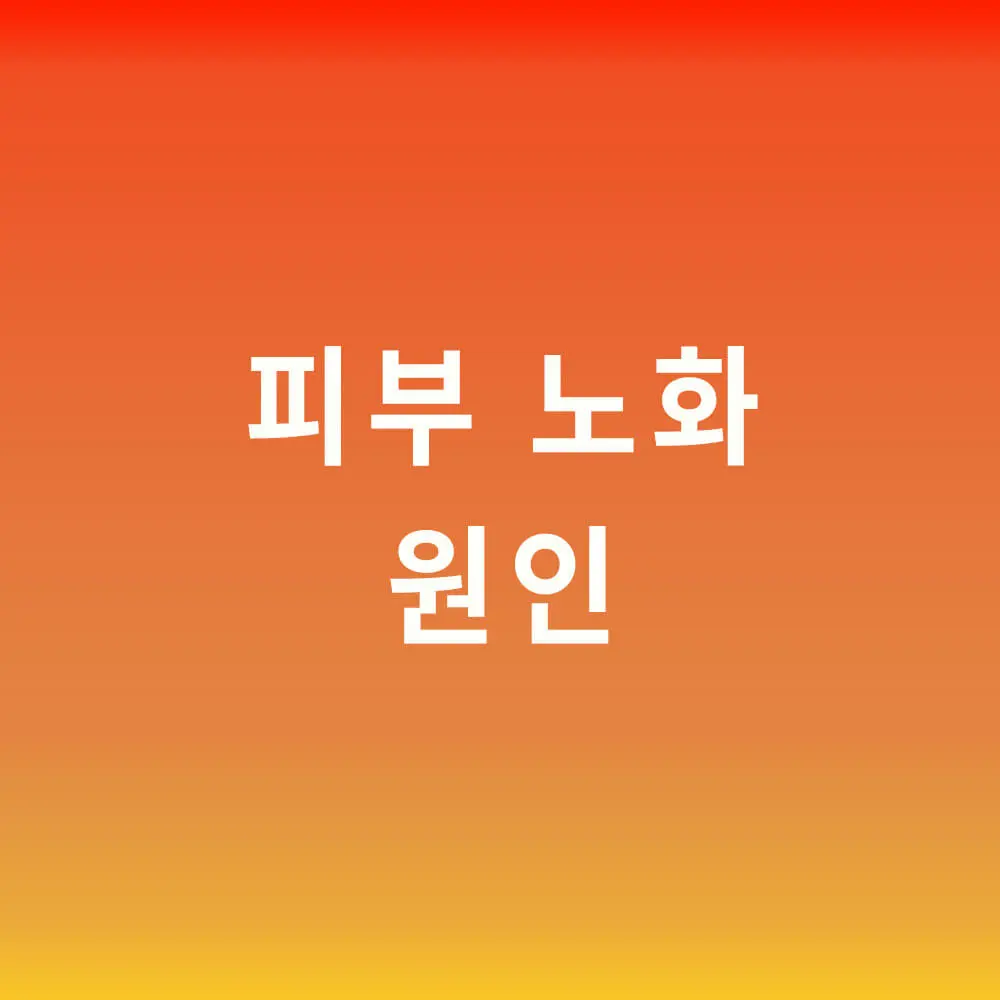 피부 노화 원인