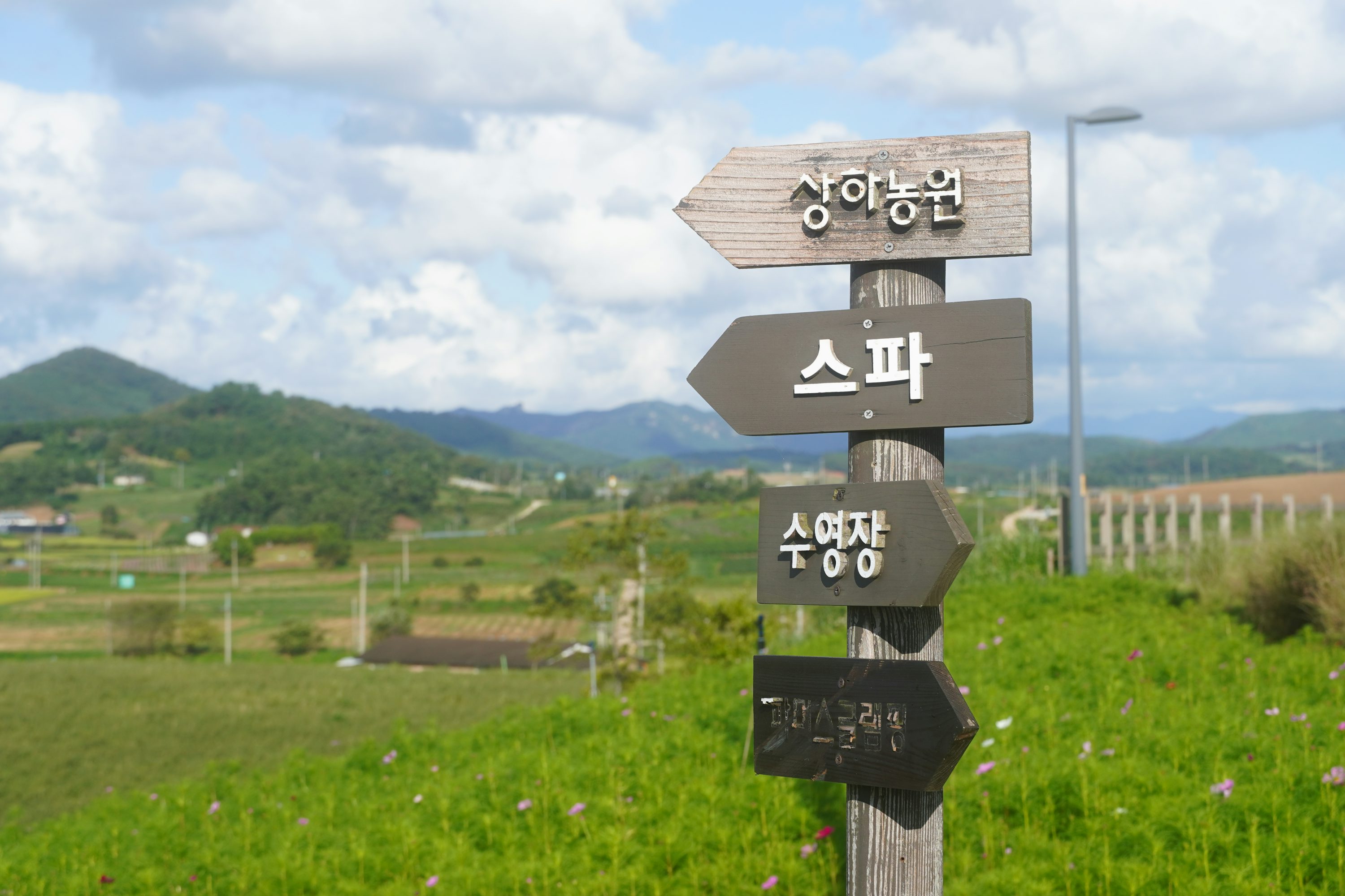상하농원&middot;스파&middot;수영장 방향을 안내하는 나무 표지판이 농촌 들판에 세워진 모습