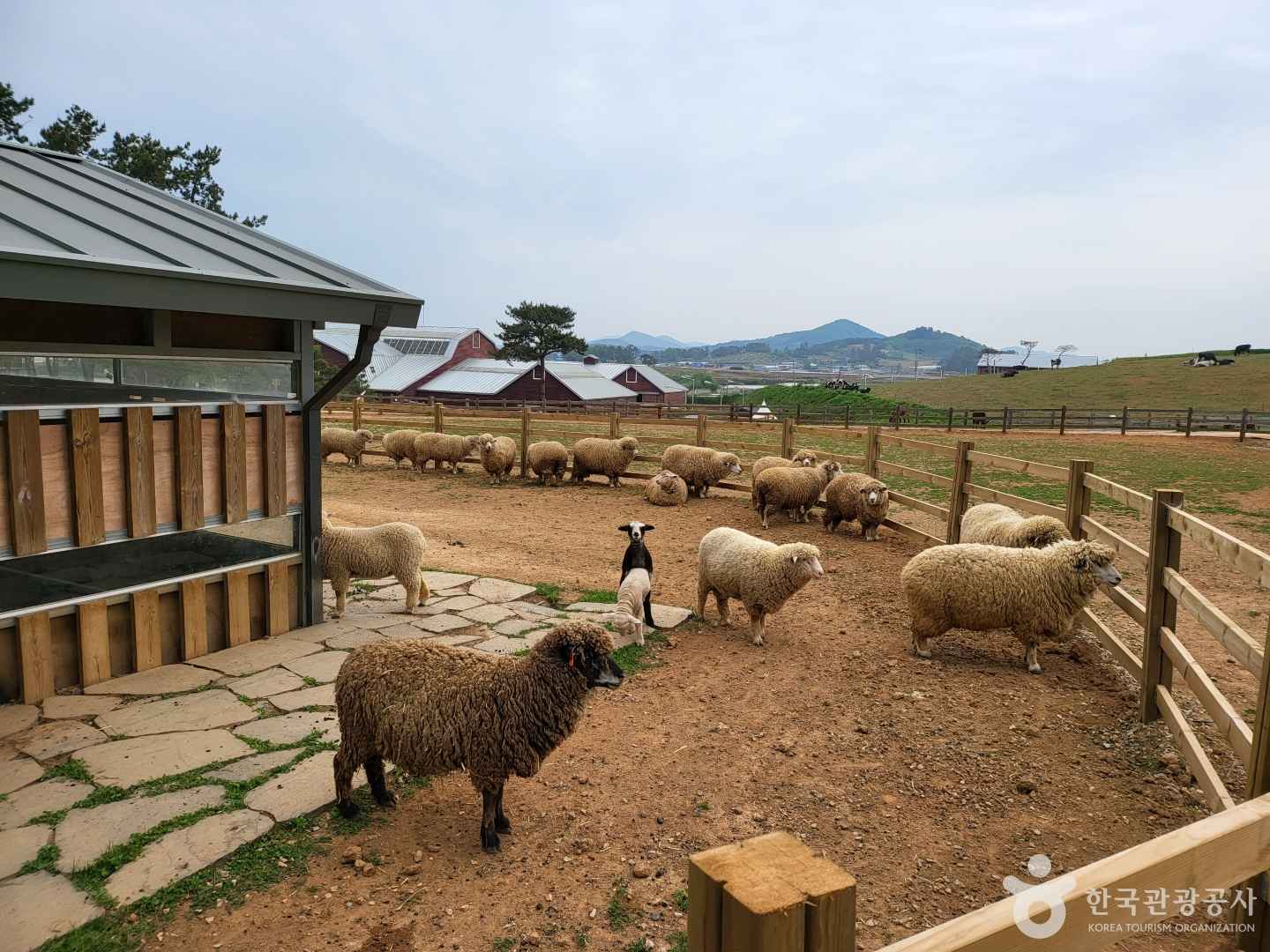 상하농원