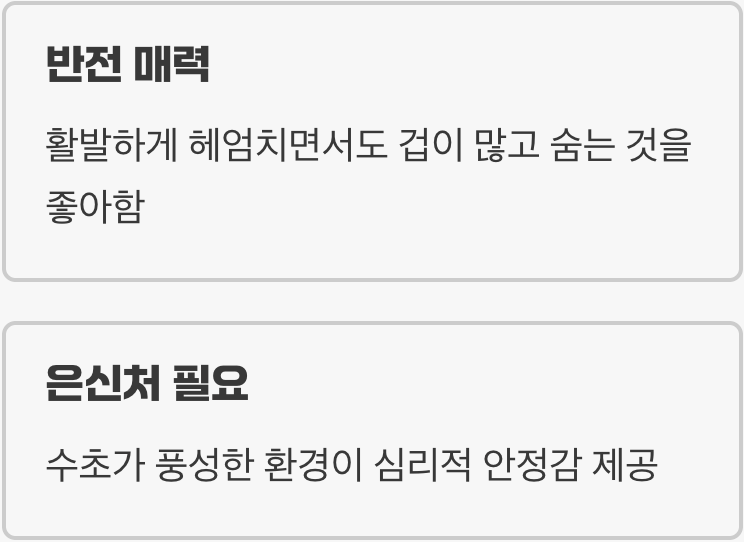 어항 - '숨을 곳'이 많은 아늑한 집