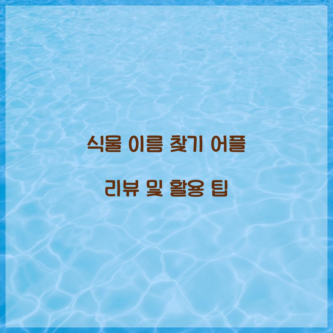 식물 이름 찾기 어플