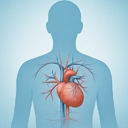 저혈압에 좋은 음식