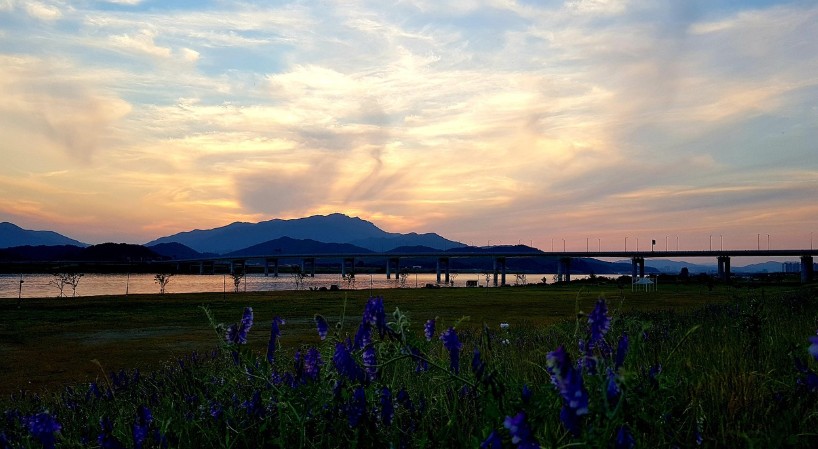 석양이지는 낙동강변 이미지