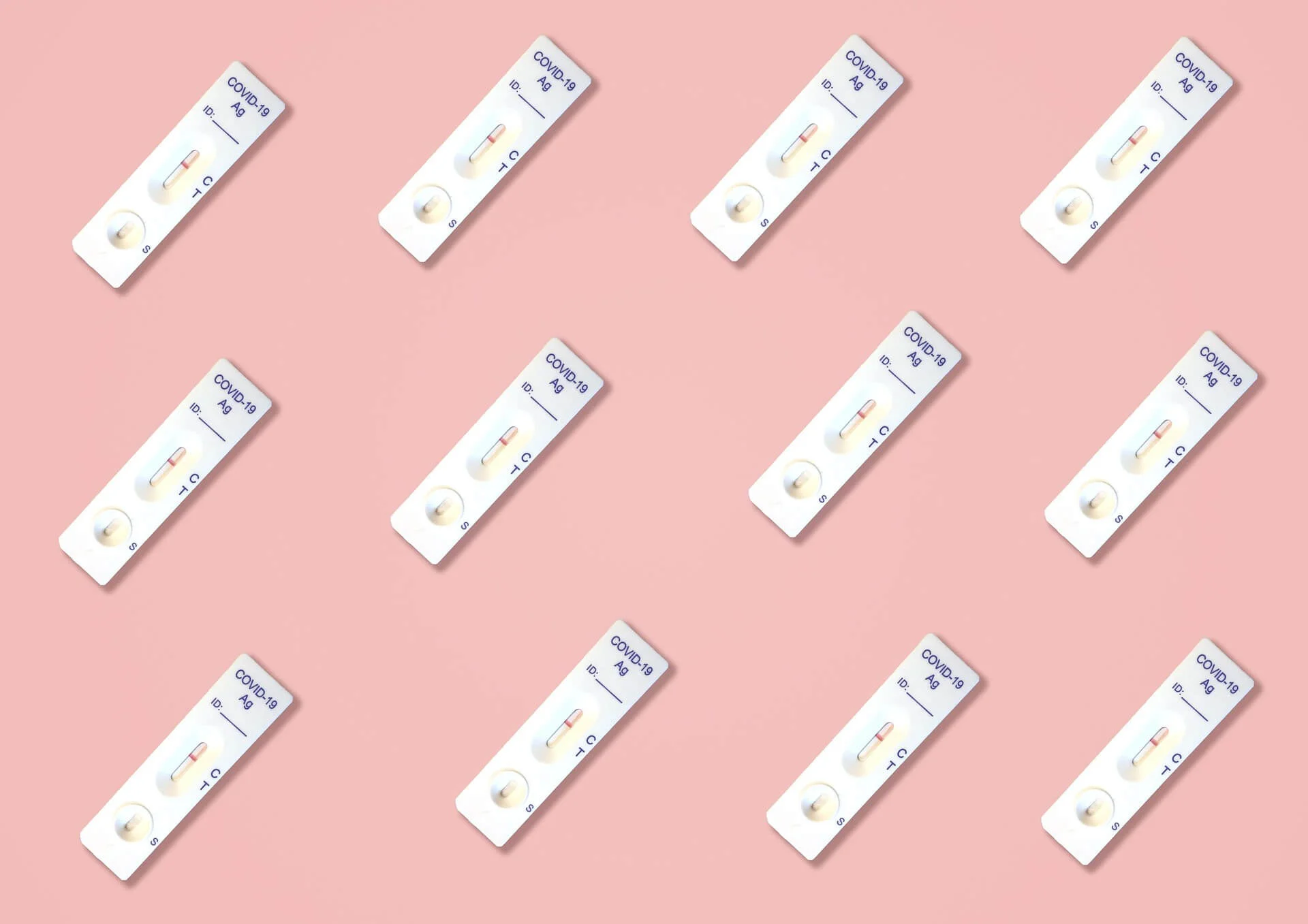 고지혈증 자가진단