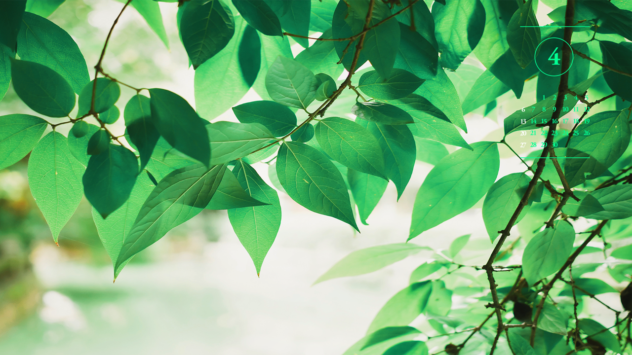 07 초록 나뭇잎 A - 2025년4월 노트북배경화면