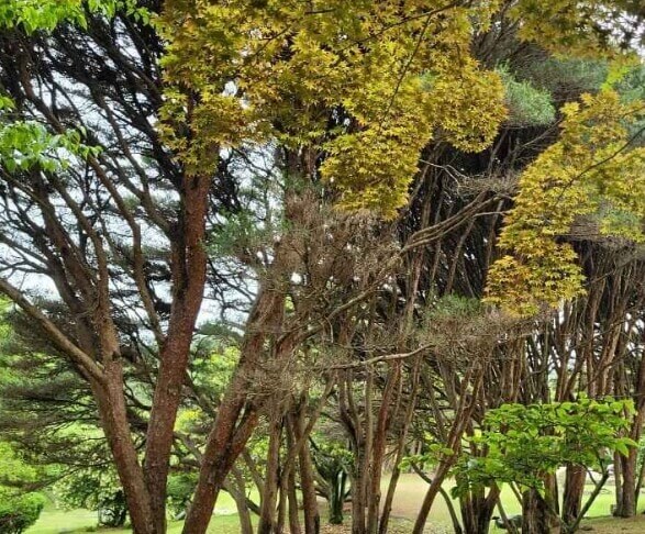 고흥 가볼만한곳 베스트 10