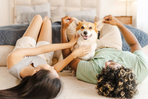 인기 강아지 이름