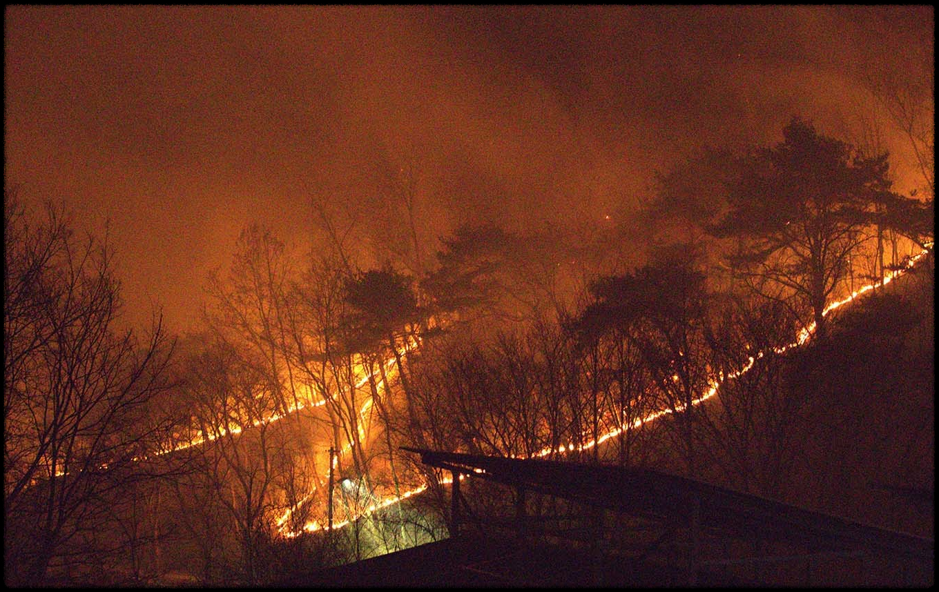 특별재난지역 관련 사진