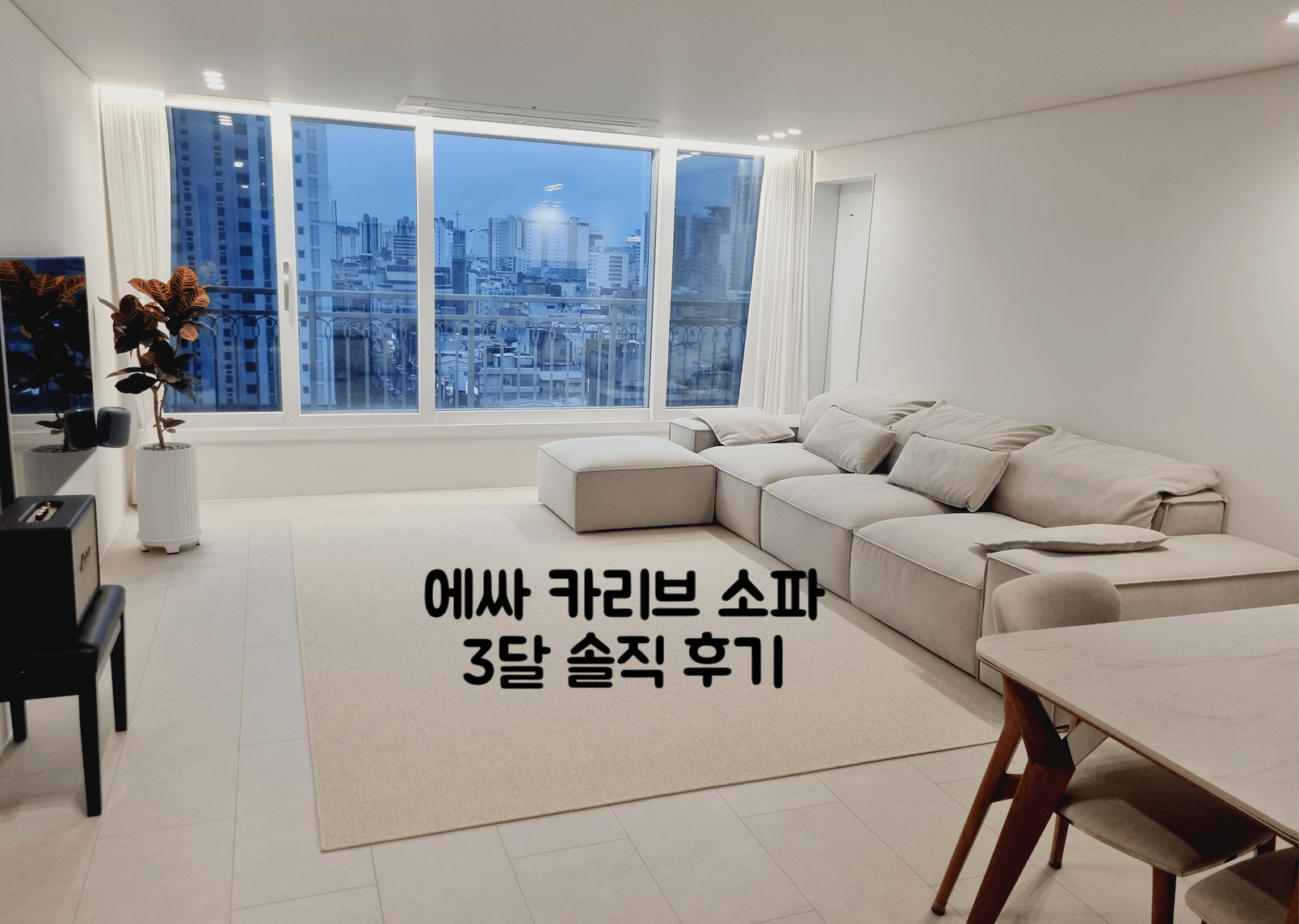 에싸 카리브 소파 후기