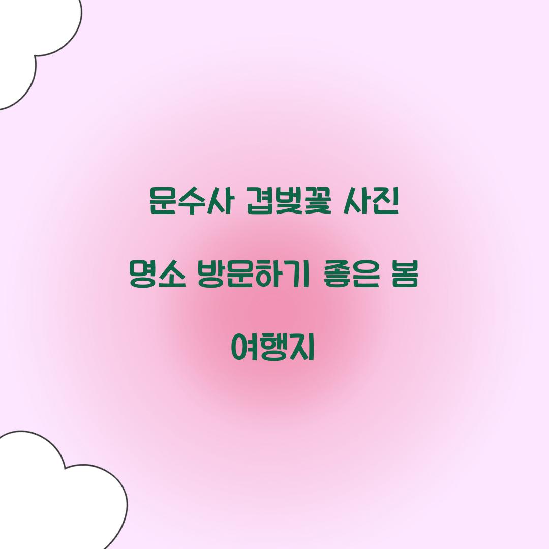 문수사 겹벚꽃 사진 명소