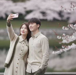 속초 벚꽃 개화시기 2025 꿀팁과 전망