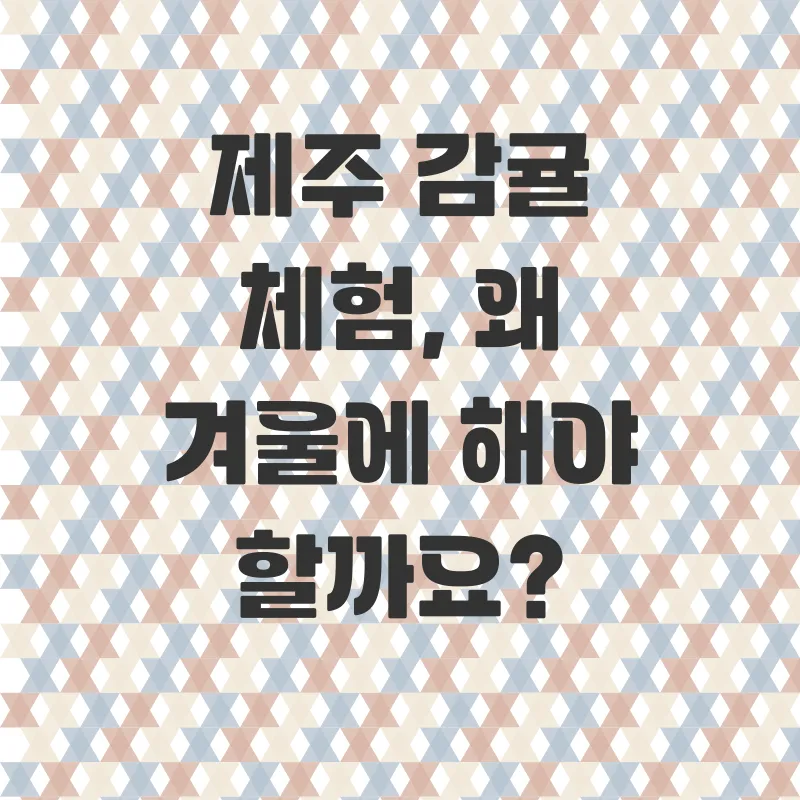제주감귤체험_1