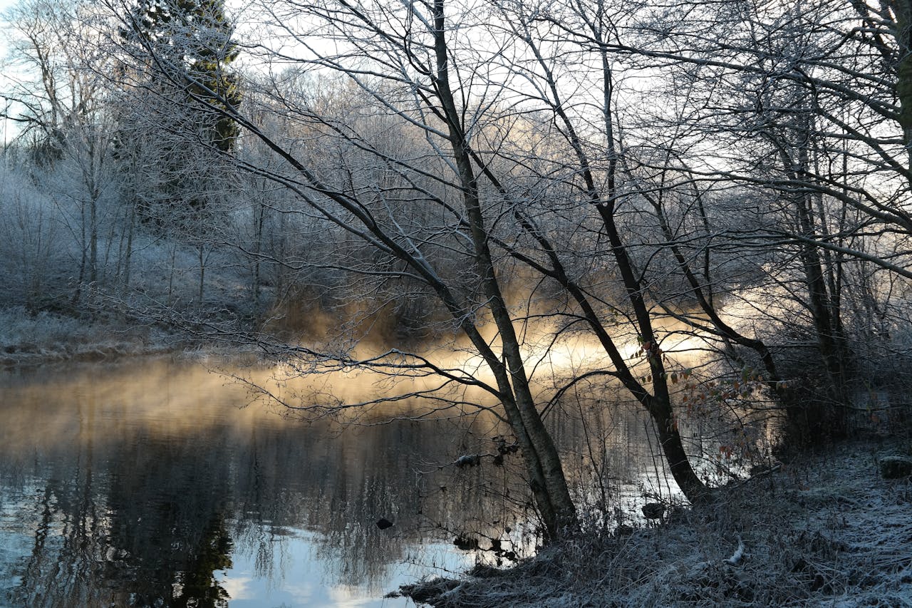 슬로우 라이프 66 : 느린 적용 설계 – 기준을 ‘아는 삶’에서 ‘쓰는 삶’으로 바꾸는 방법
