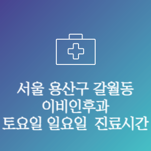 서울 용산구 갈월동 이비인후과 주말 토요일 일요일 문여는 병원 진료시간