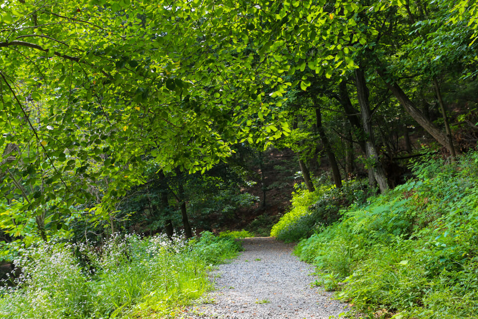 대구 가볼만한 단풍 여행은 어디일까? 대구 단풍 여행 총정리!