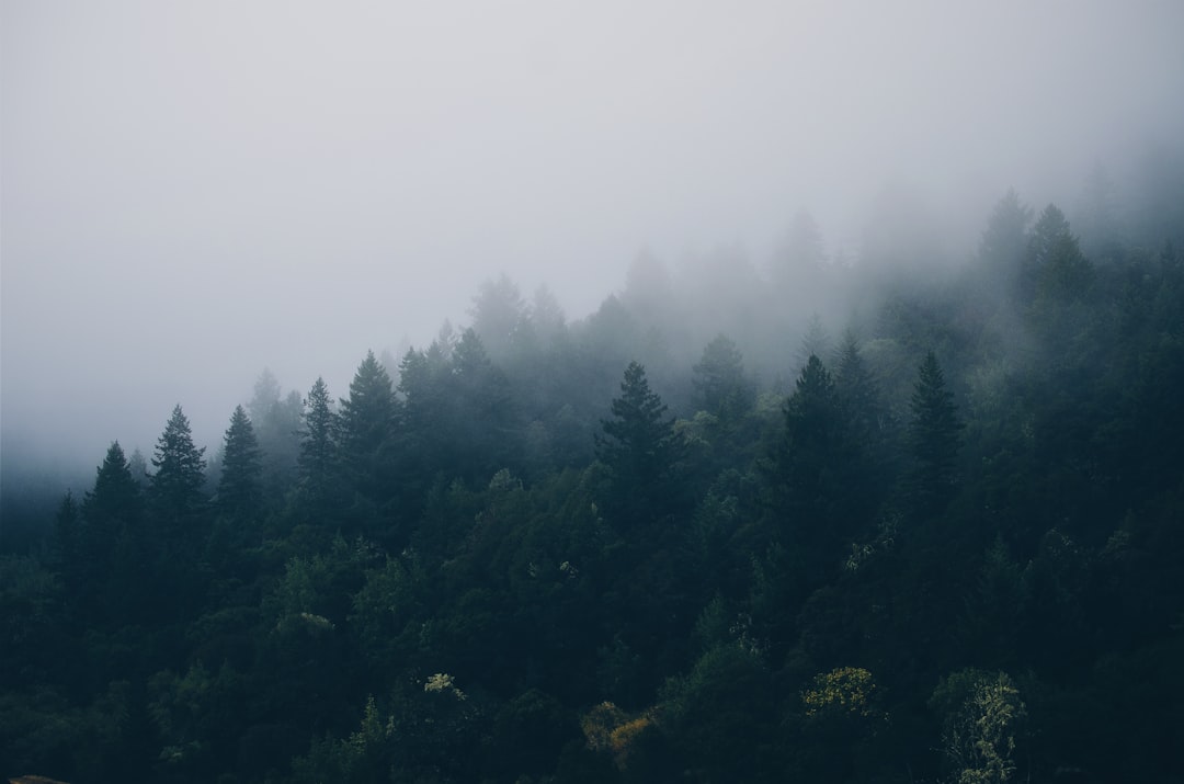 Forestry