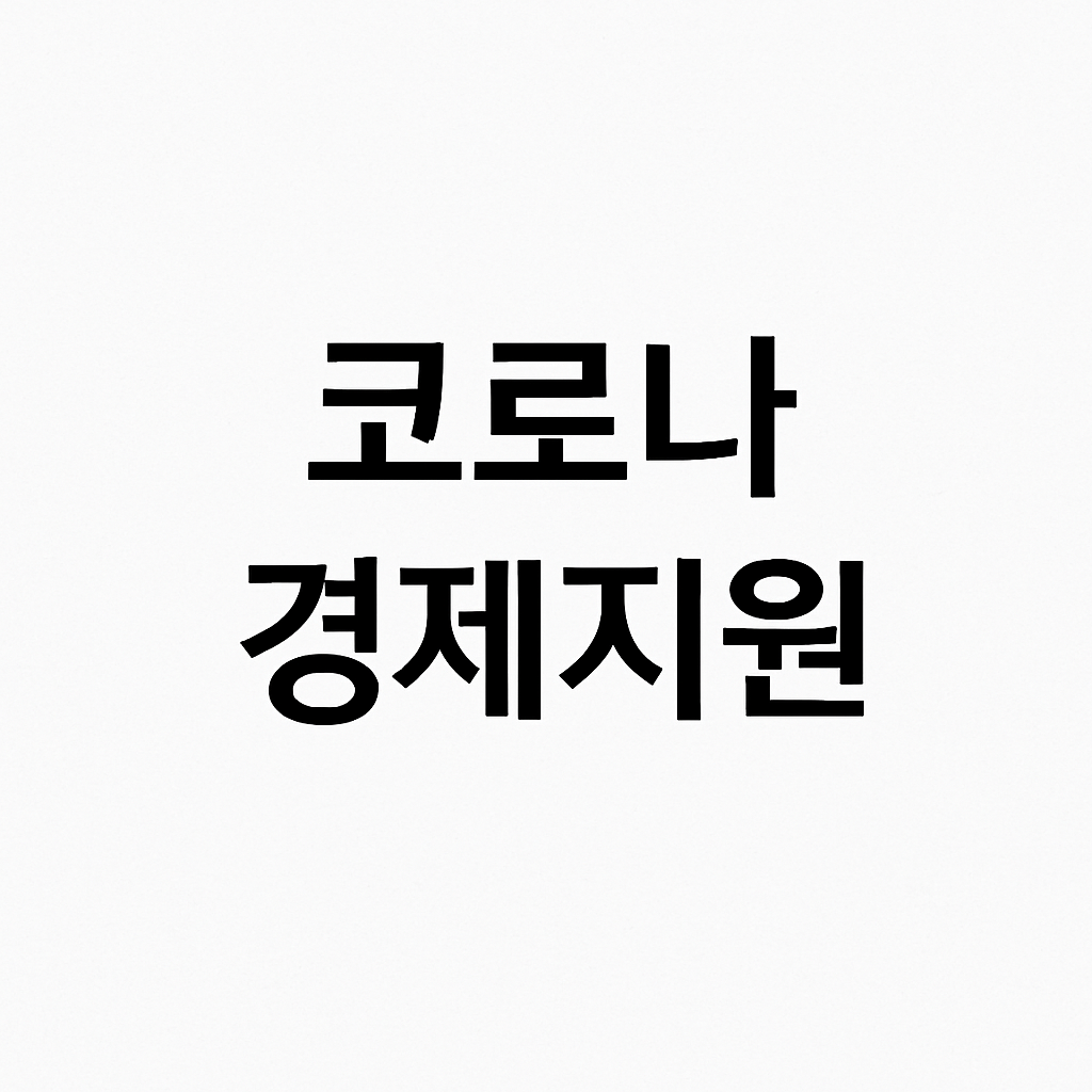 국민카드 민생지원금 사용방법
