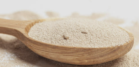 맥주효모의 효능과 부작용