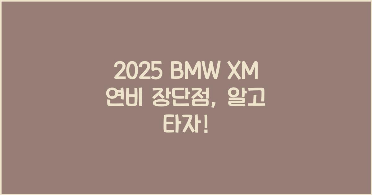2025 BMW XM 연비 장단점