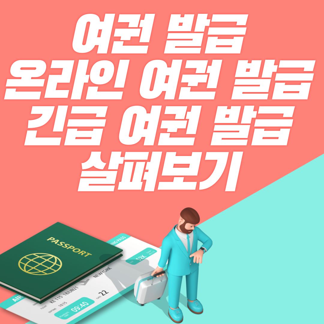 여권발급총정리 내용