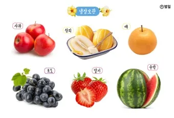 과일 보관 바나나 사과 토마토 숙성 냉장 기준표_2