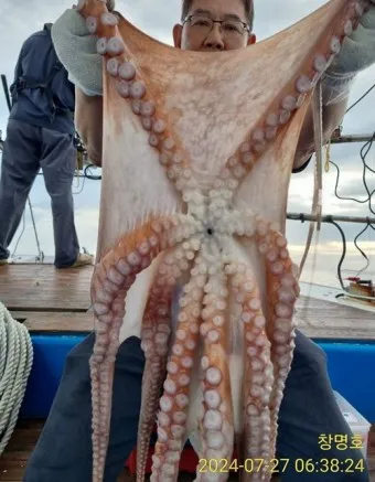 문어 삶는법 문어 요리 레시피_21