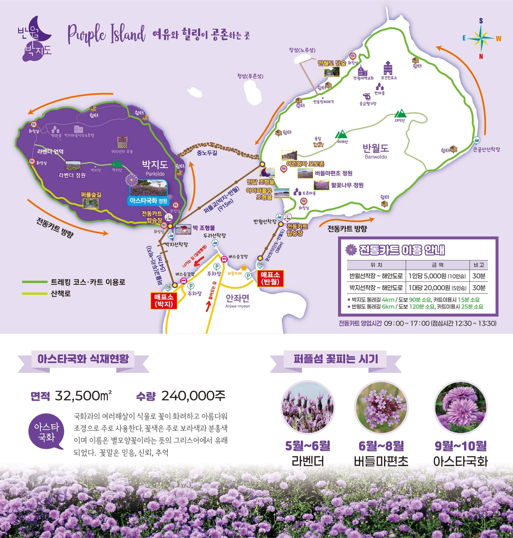 신안 퍼플섬 아스타축제